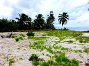 Belize Real Estate Turneffe Island Caye Private Caribbean land for sale