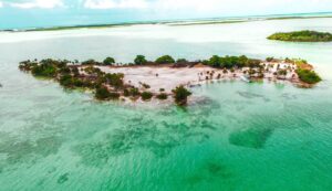 Deer Caye 2 Acres, Belize, Caribbean, Real Estate, private Island for sale, sand Pedro, amergris caye, placencia