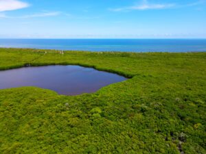 San Pedro Ambergris Caye Investment Resort Real Estate Sale hotel property lots land