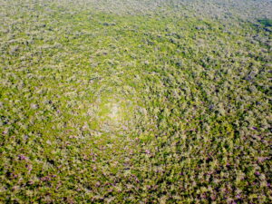 Long middle caye, Long caye, coco, Private Island for sale, Belize real Estate, caribbean, luxury, reef,