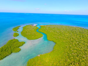 Long middle caye, Long caye, coco, Private Island for sale, Belize real Estate, caribbean, luxury, reef,