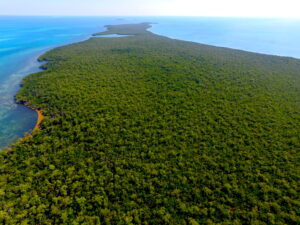 Long middle caye, Long caye, coco, Private Island for sale, Belize real Estate, caribbean, luxury, reef,