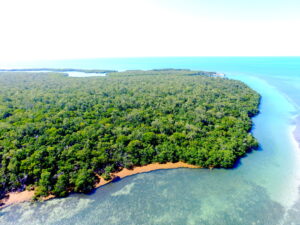 Long middle caye, Long caye, coco, Private Island for sale, Belize real Estate, caribbean, luxury, reef,