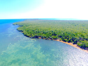 Long middle caye, Long caye, coco, Private Island for sale, Belize real Estate, caribbean, luxury, reef,