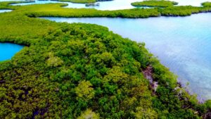 Stan Creek, Private Island for sale, Belize real Estate, caribbean