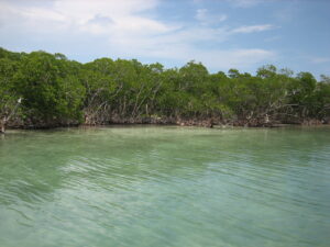 BELIZE CITY, Private Island for sale, Belize real Estate, caribbean