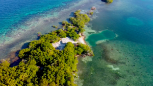 Placencia, driftwood caye, Private Island for sale, Belize real Estate, caribbean