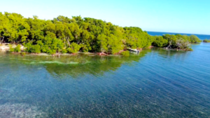 Placencia, driftwood caye, Private Island for sale, Belize real Estate, caribbean