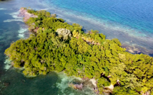 Placencia, driftwood caye, Private Island for sale, Belize real Estate, caribbean