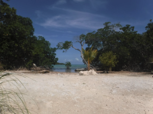 funk caye, Long caye, coco, Private Island for sale, Belize real Estate, caribbean, luxury, reef,