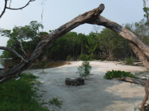 funk caye, Long caye, coco, Private Island for sale, Belize real Estate, caribbean, luxury, reef,