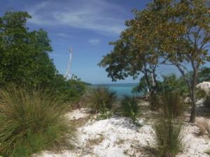 funk caye, Long caye, coco, Private Island for sale, Belize real Estate, caribbean, luxury, reef,