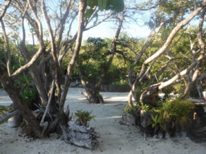 funk caye, Long caye, coco, Private Island for sale, Belize real Estate, caribbean, luxury, reef,