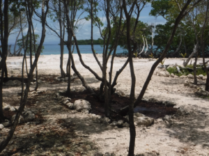 funk caye, Long caye, coco, Private Island for sale, Belize real Estate, caribbean, luxury, reef,