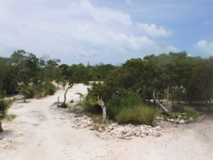 funk caye, Long caye, coco, Private Island for sale, Belize real Estate, caribbean, luxury, reef,