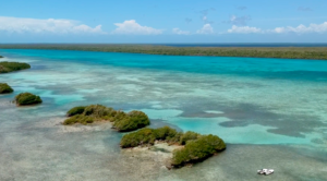 Belize Real Estate Turneffe Island Caye Private Caribbean land for sale