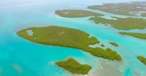 BELIZE CITY, Private Island for sale, Belize real Estate, caribbean