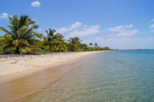 ycacos, land for sale, development, property, large, acreage, waterfront, seafront, oceanfront, Toledo, long. coastline, prime, location