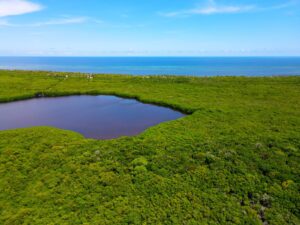 69,7 Oceanfront Acres near San Pedro