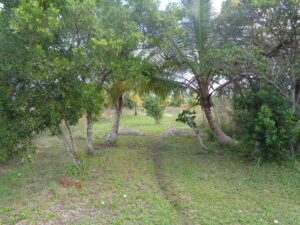 ycacos, land for sale, development, property, large, acreage, waterfront, seafront, oceanfront, Toledo, long. coastline, prime, location