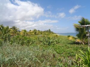 ycacos, land for sale, development, property, large, acreage, waterfront, seafront, oceanfront, Toledo, long. coastline, prime, location