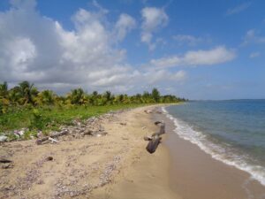 ycacos, land for sale, development, property, large, acreage, waterfront, seafront, oceanfront, Toledo, long. coastline, prime, location