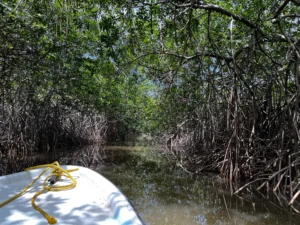 nothern lagoon mountain view Private Island, Placencia, Belize, Island for sale, caribbean, resort, business in belize, investment opportunity