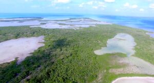 Private Island Belize For Sale 500-Acre Private Island in Belize, Near Leonardo DiCaprio’s Island Caribbean