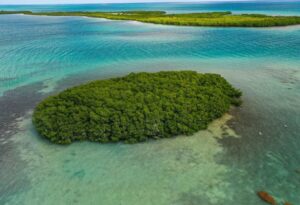 Private Island 20 minutes from Belize's Great Blue Hole, Belize affordable under k