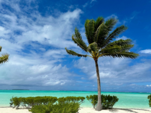 Shag Caye: 2-acre Private Island for Sale