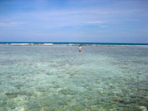 11 Acres Oceanfront land next to the famous Turneffe Flats Resort