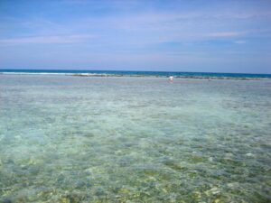 11 Acres Oceanfront land next to the famous Turneffe Flats Resort