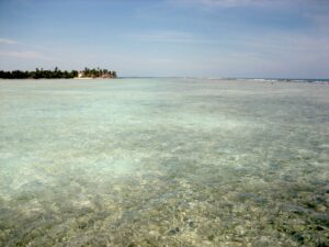 11 Acres Oceanfront land next to the famous Turneffe Flats Resort